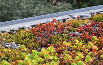 the cost of Skenfrith green roof installation